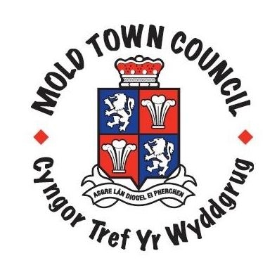 Mold Town Council